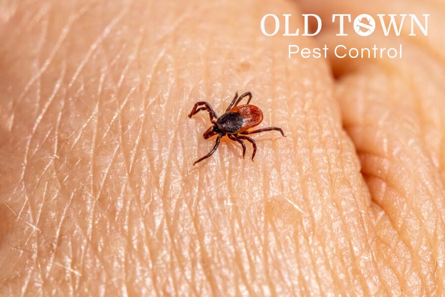 FORT COLLINS TICK CONTROL SERVICES IN LOVELAND, CO