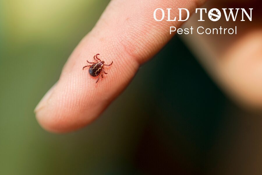 FORT COLLINS TICK EXTERMINATOR SERVICES IN LOVELAND, CO