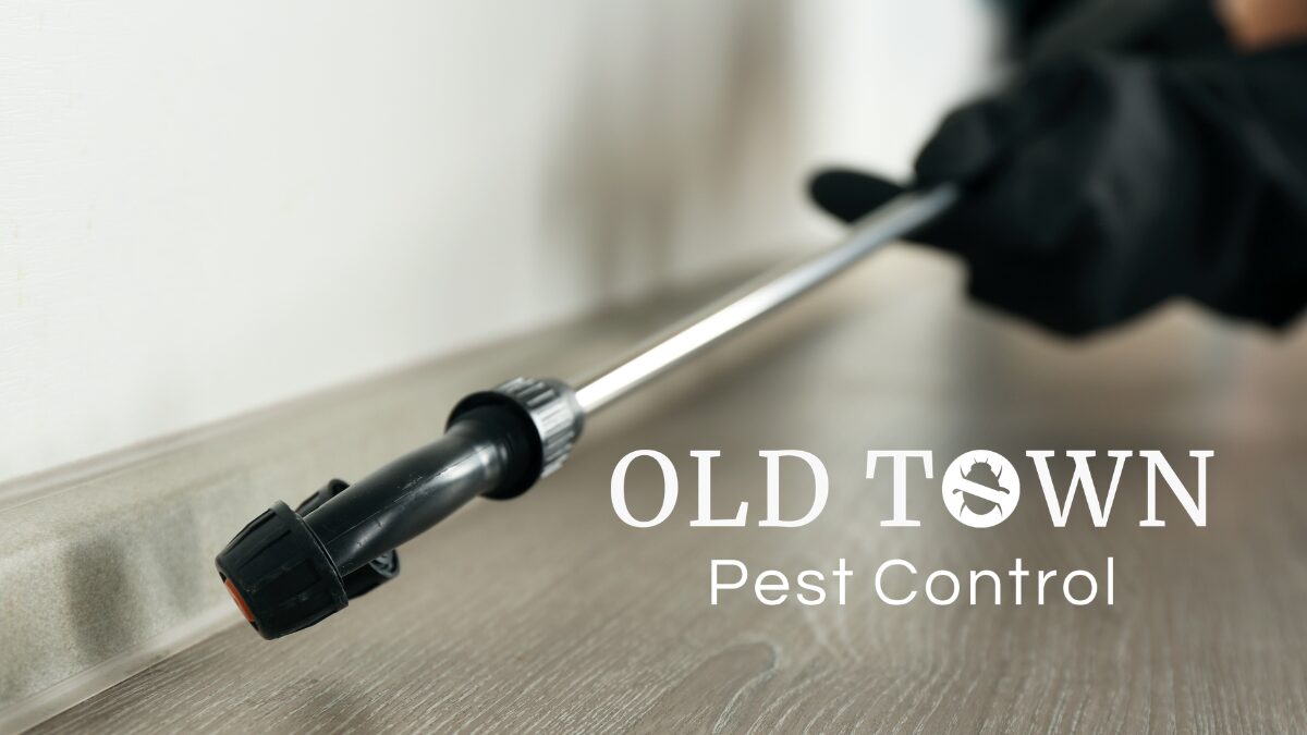 Exterminator Co In Windsor, Colorado